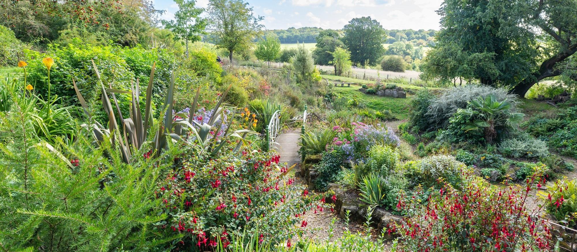 Image of plants and trees at Danesbury Fernery