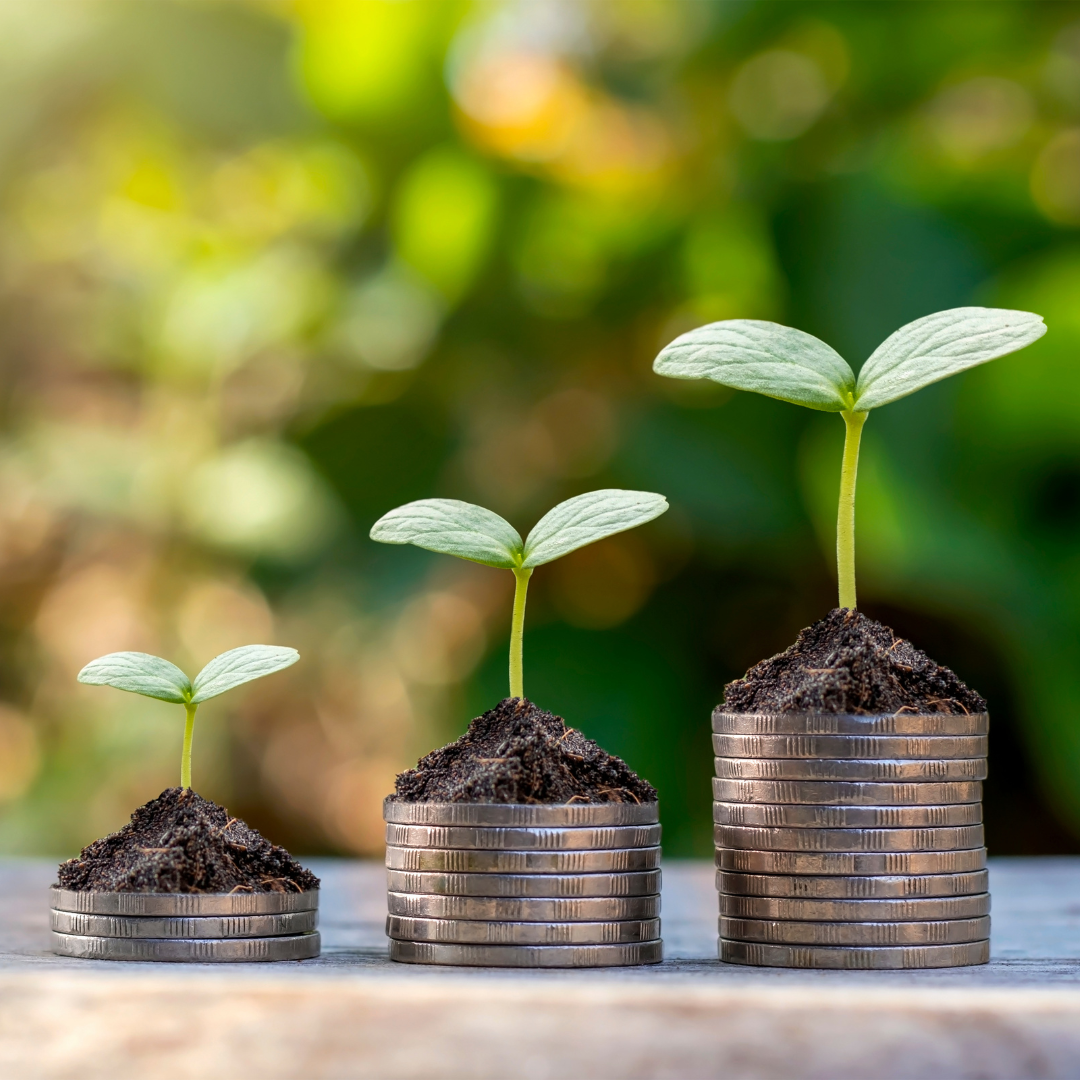 Climate Action Small Grants