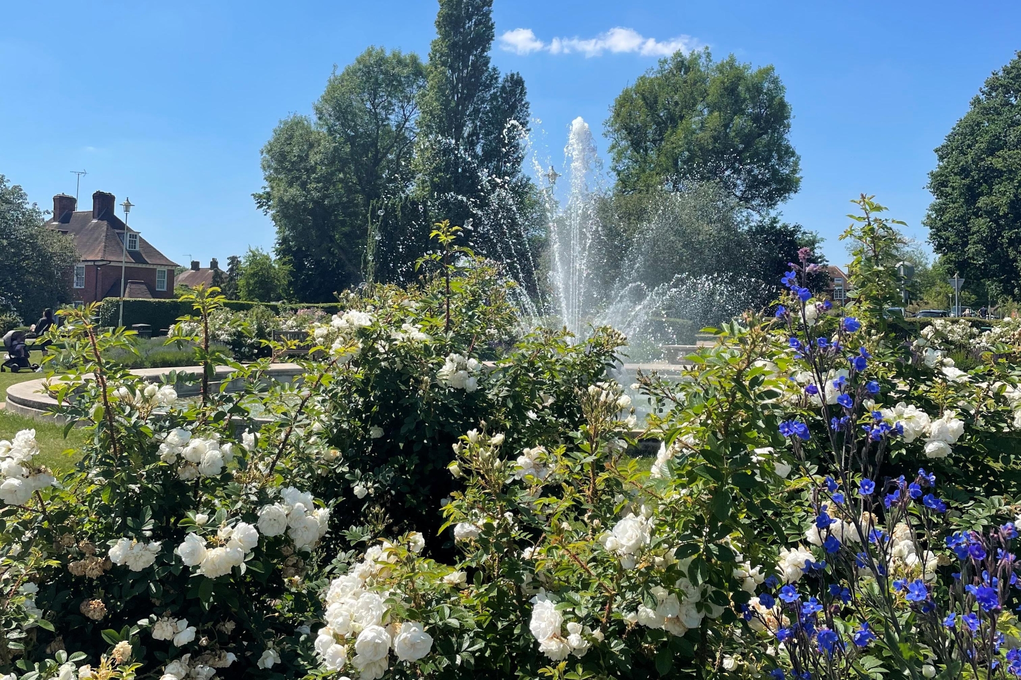 Large circular stone water fountain with flowers and hedges.