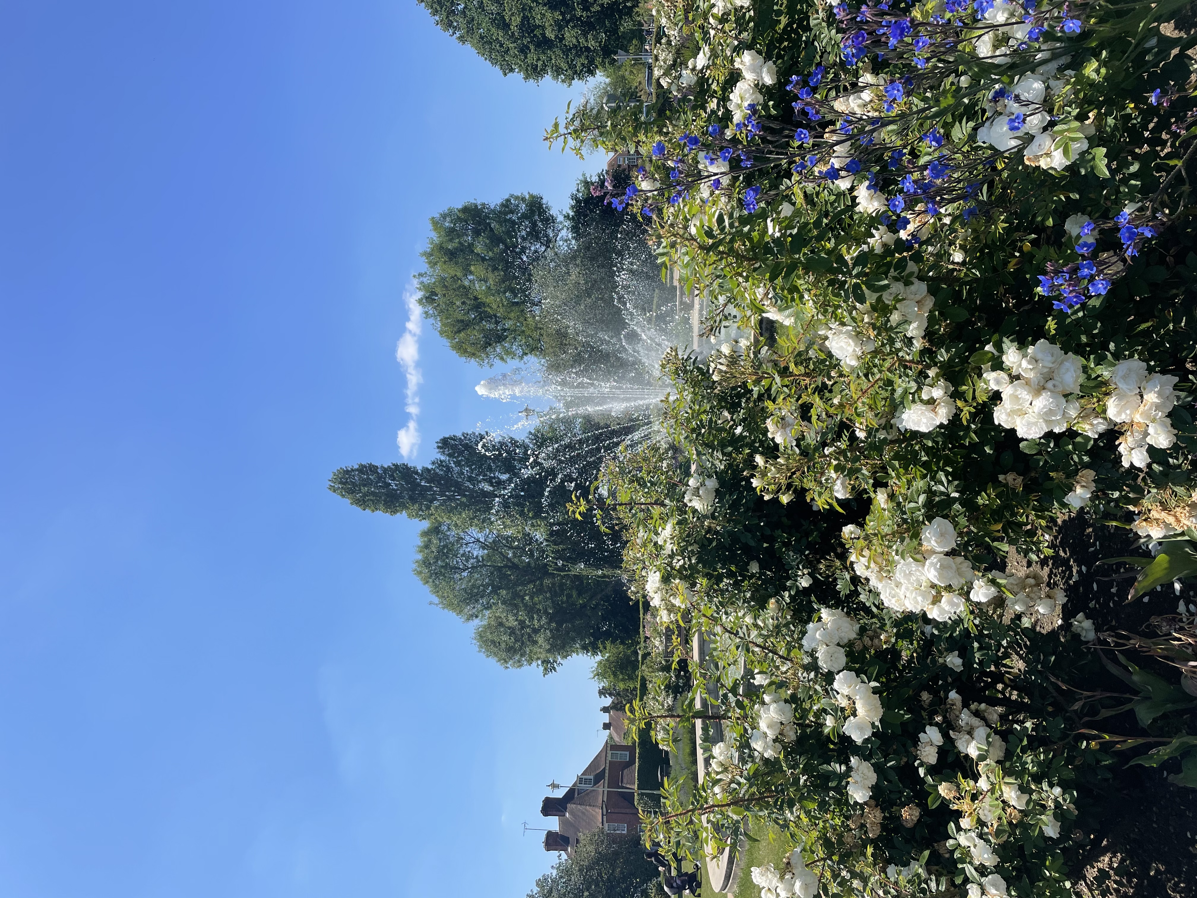 Coronation fountain Welwyn Garden City