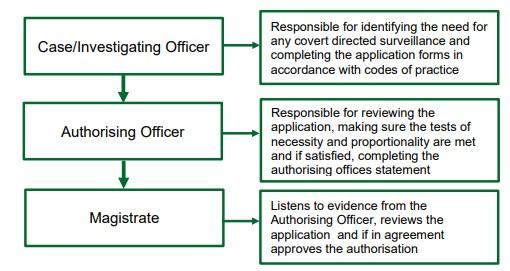 Chart showing flow of responsibility.