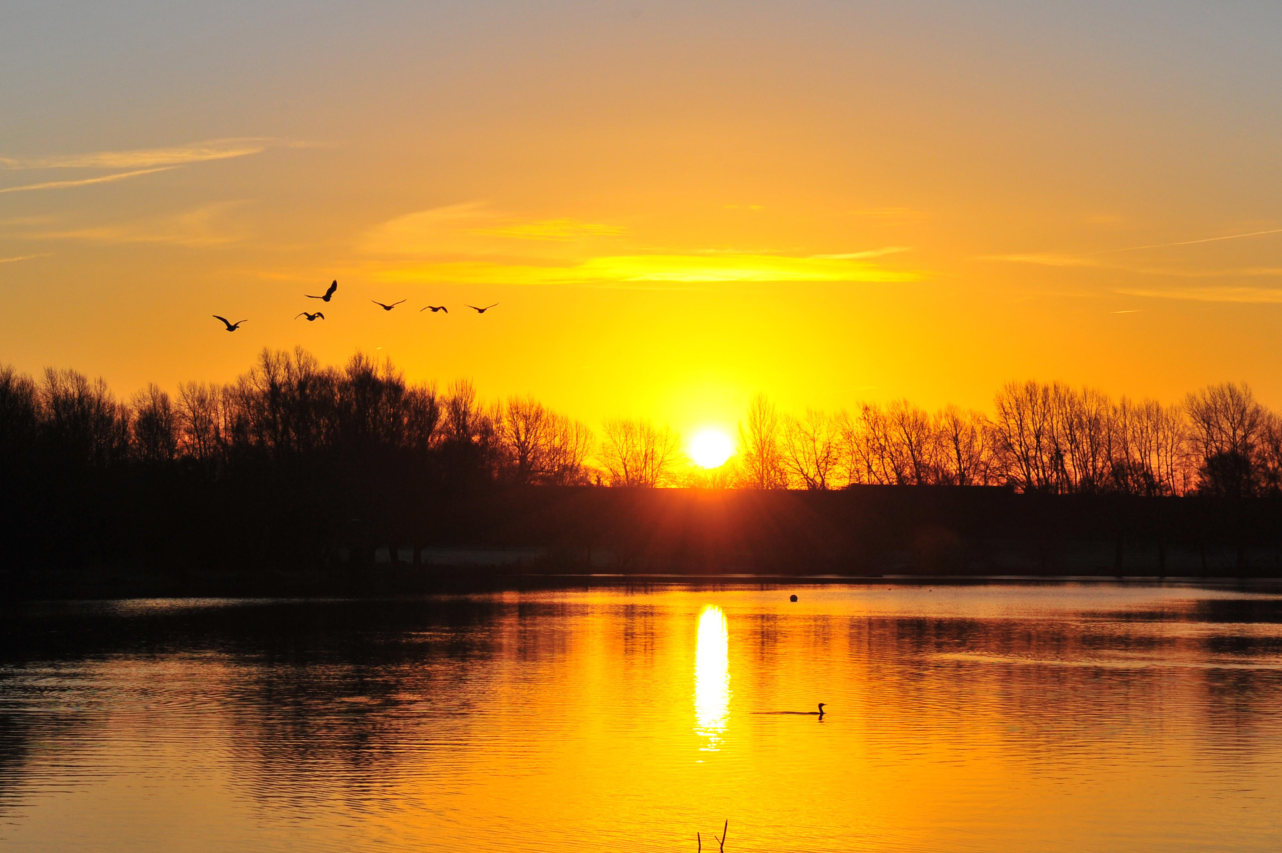 Sun setting over lakes with trees in background