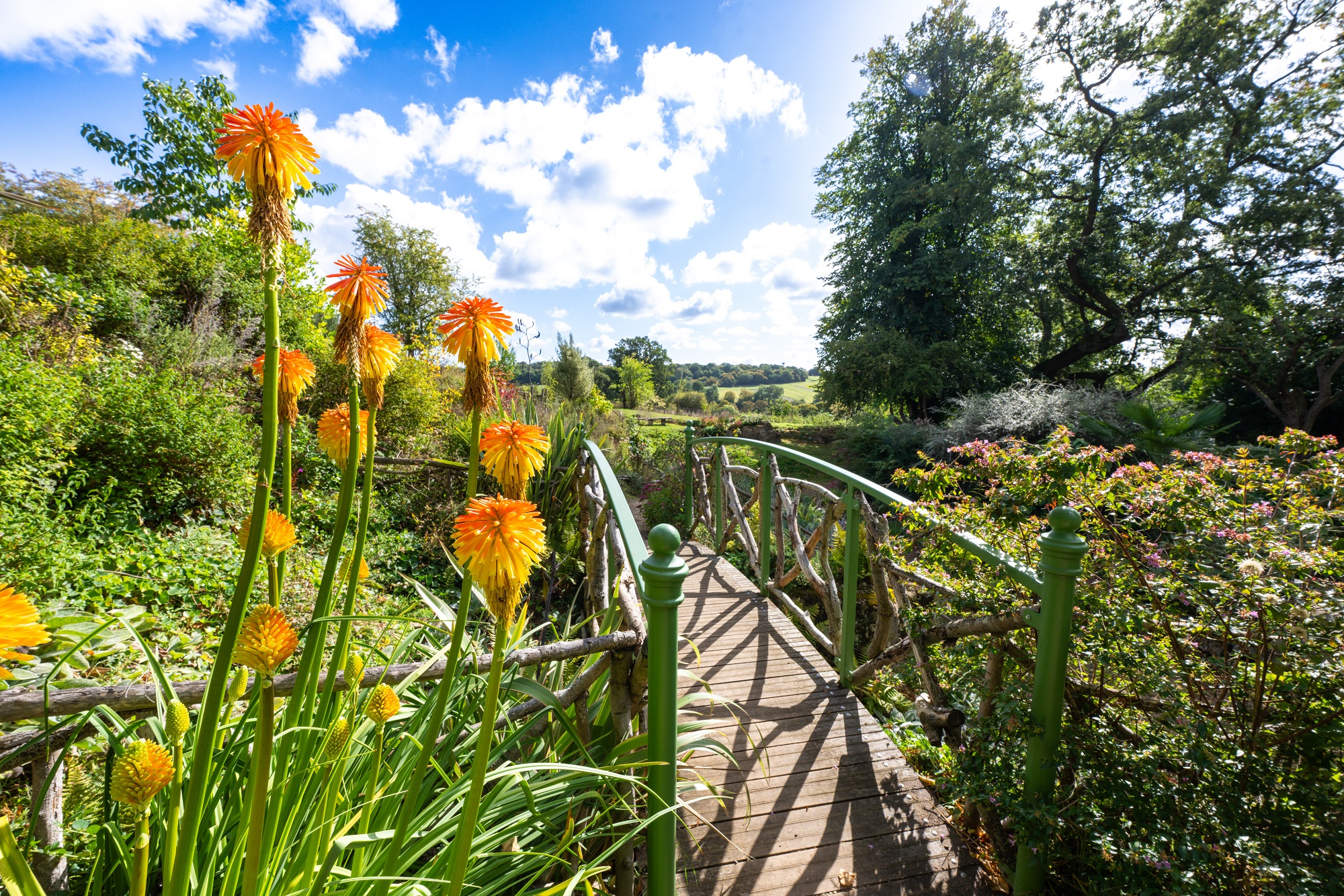 Danesbury Fernery in summer