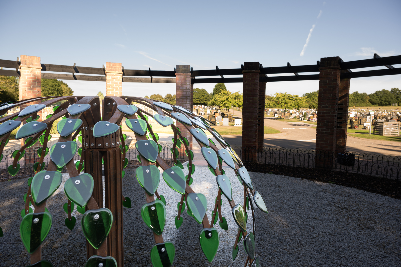 Steel mulberry tree with grass and graves in the background