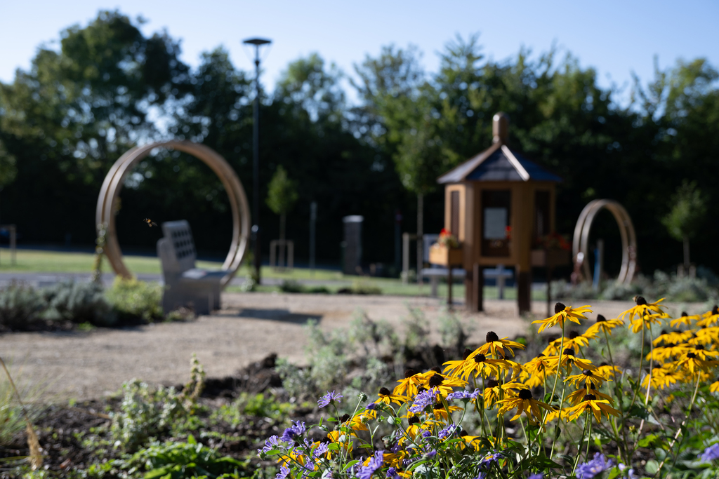 Flowers in a garden with a bench and postbox in the background