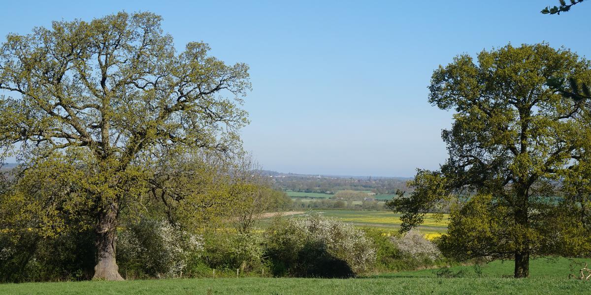 Views of countryside fields and trees.