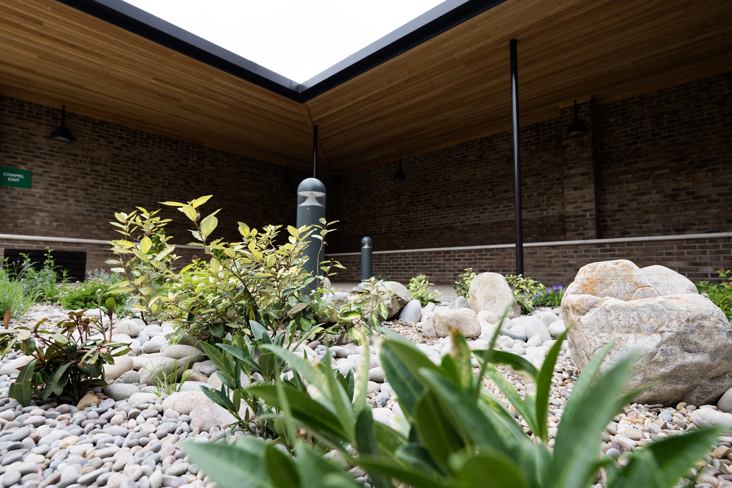 Plants in the remembrance area at Oak Hill