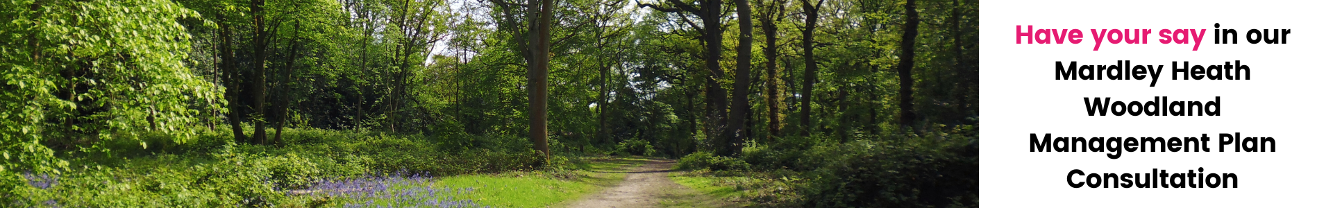 Mardley Heath banner