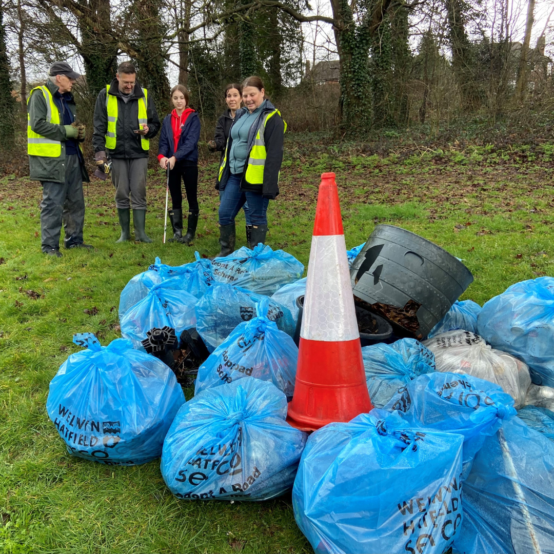 blue litter bags and volunteers with litter picks